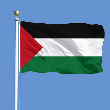 Flag of Palestine hanged on standing pole